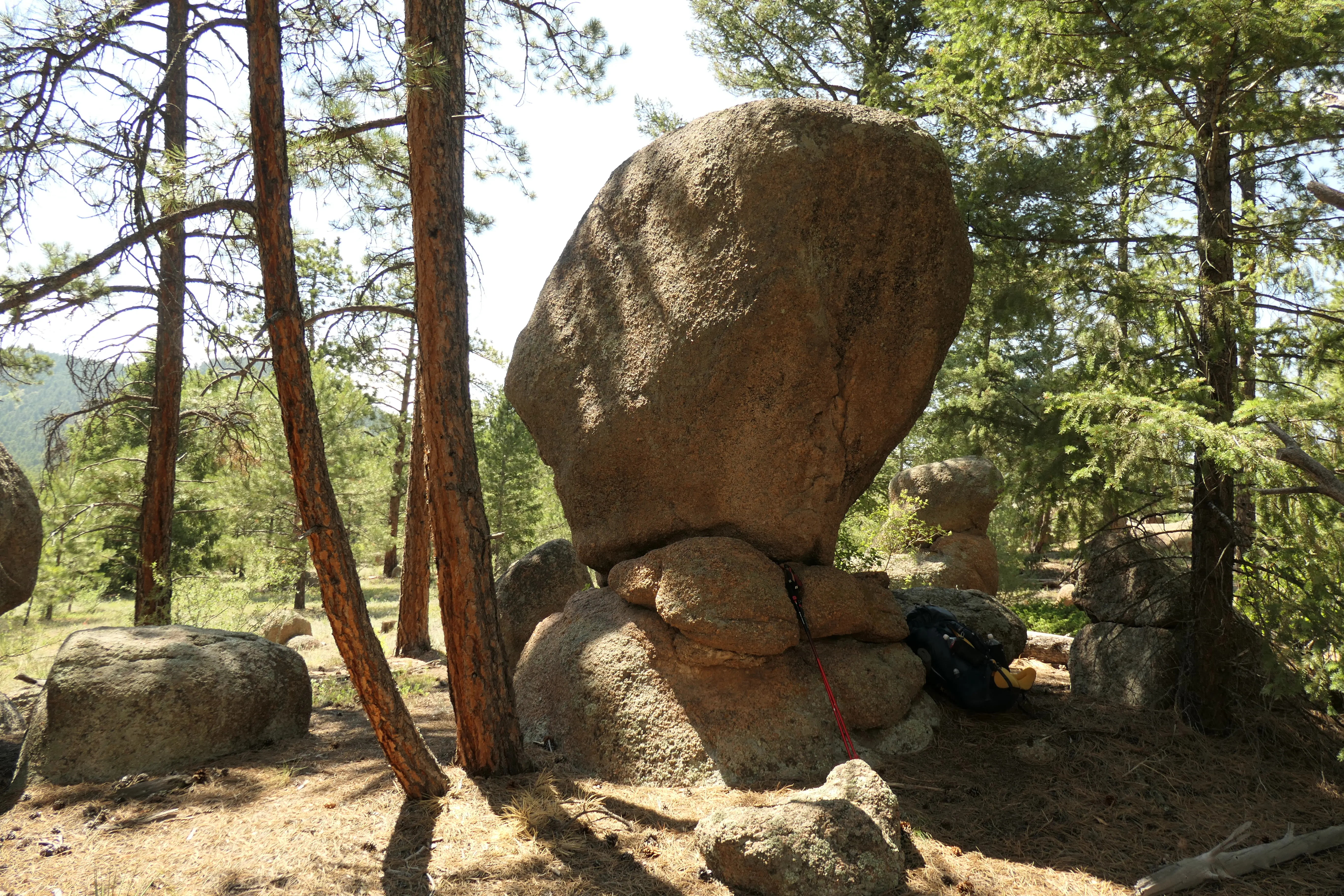 Granitstein im Wald